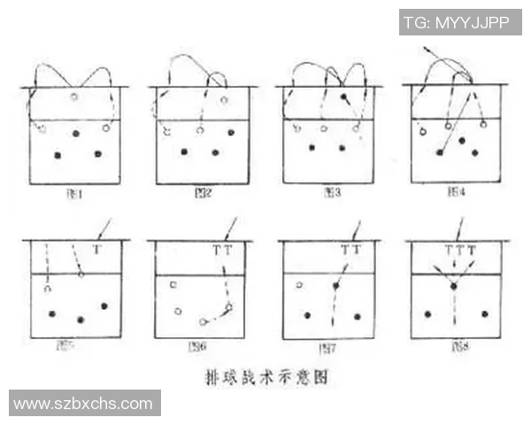 南京排球队比赛经验分享：从战术到心理素质的全面剖析与启示