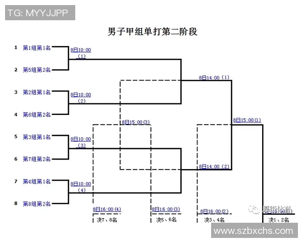 南京羽毛球队在世界锦标赛中的心理素质表现分析与反思