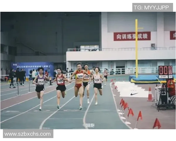 武汉排球队比赛经验深度解析与发展策略探讨