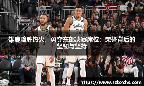 雄鹿险胜热火，勇夺东部决赛席位：荣誉背后的坚韧与坚持