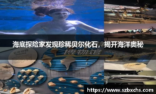 海底探险家发现珍稀贝尔化石，揭开海洋奥秘