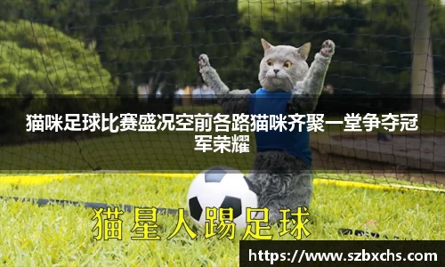猫咪足球比赛盛况空前各路猫咪齐聚一堂争夺冠军荣耀