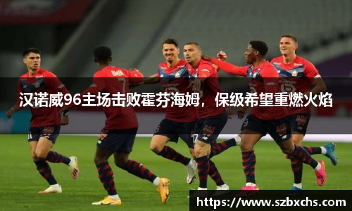 汉诺威96主场击败霍芬海姆，保级希望重燃火焰
