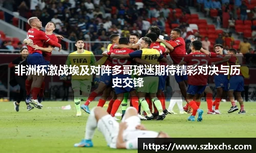 非洲杯激战埃及对阵多哥球迷期待精彩对决与历史交锋