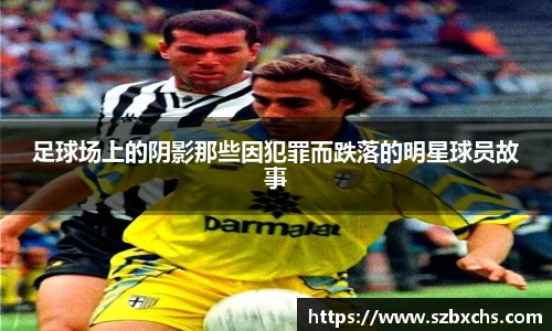 足球场上的阴影那些因犯罪而跌落的明星球员故事